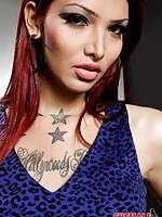 blogs tranny